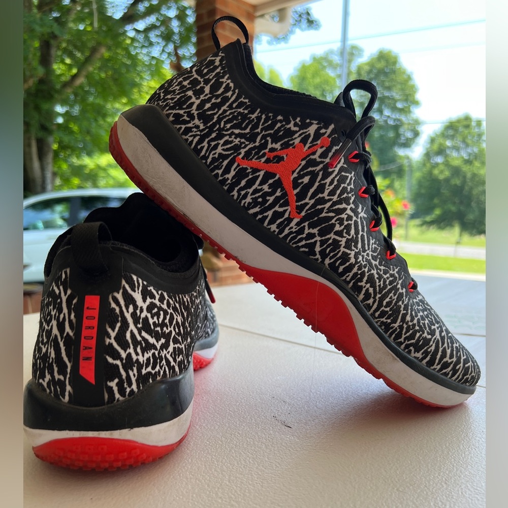 Jordan Trainer Low 1 “Elephant Infrared” Size 12